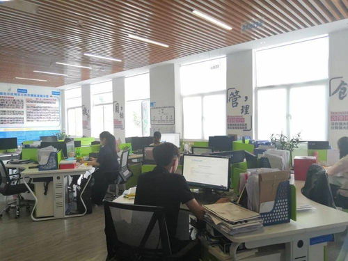 保亭縣電子商務(wù)公共服務(wù)中心誠邀英才，共促商務(wù)信息咨詢服務(wù)發(fā)展